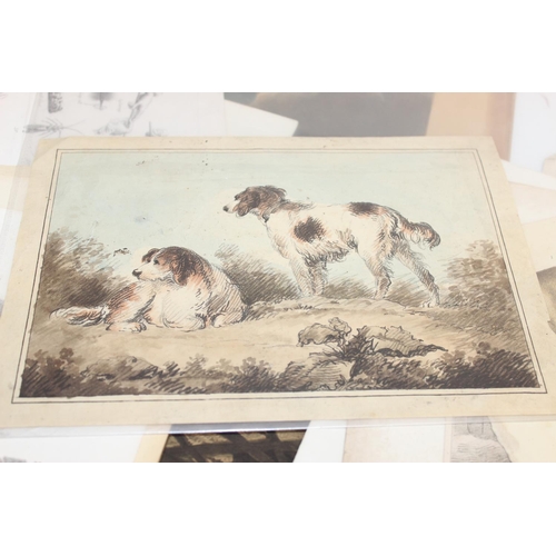 480 - Qty of antique and later book plate prints/lithographs, mostly animal themed to incl examples by R. ... 