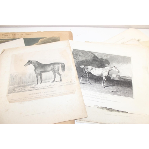 480 - Qty of antique and later book plate prints/lithographs, mostly animal themed to incl examples by R. ... 