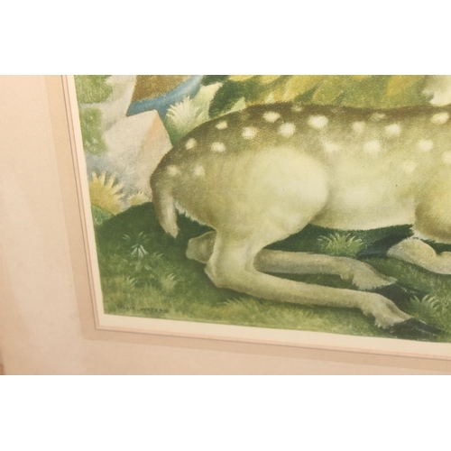 503 - Vintage mid-century print of 'The Little Fawn Deer', signed by the artist Billie Waters, in glazed f... 