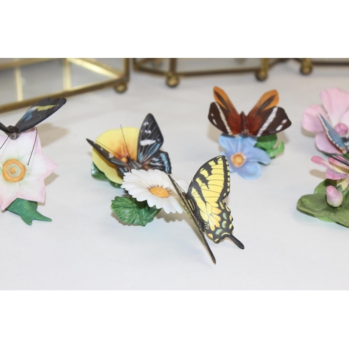 1681 - Qty of assorted Franklin Mint porcelain butterfly ornaments and 2 small glass display units, tallest... 