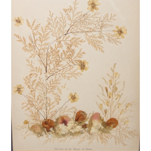 524 - 4 assorted pictures to incl 2 of dried flower displays, a John Heath print of a Grouse with a real f... 