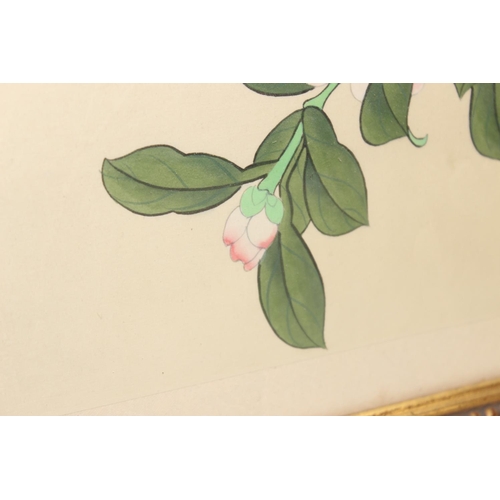 469 - Pair of vintage Oriental floral paintings on silk, in glazed frames, approx 50cm x 40cm