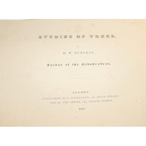 584 - The Turner Gallery, an antique decorative leather bound book printed by Virtue & Co of London contai... 