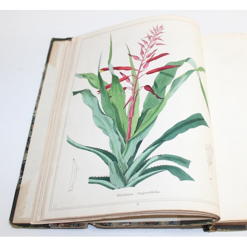 585 - 3 assorted antique books with superb quality printed plates all relating to flowers and botany, to i... 