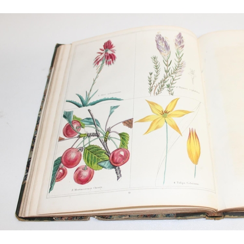 585 - 3 assorted antique books with superb quality printed plates all relating to flowers and botany, to i... 