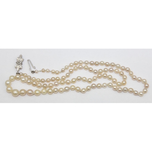 1137 - A vintage pearl necklace with 9ct white gold and diamond set clasp, marked for Birmingham 1971, the ... 