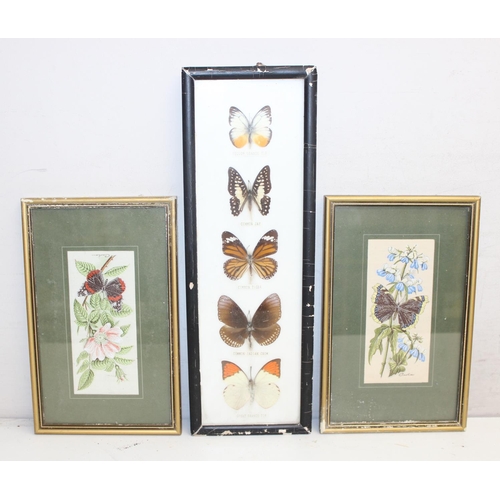 1517B - Qty of assorted butterfly related items to inc taxidermy butterflies in frames, Cash's woven picture... 