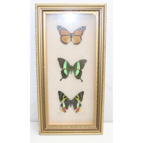 1517B - Qty of assorted butterfly related items to inc taxidermy butterflies in frames, Cash's woven picture... 