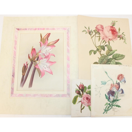 481 - Qty of antique and later book plate prints/lithographs, mostly flower/plant themed to incl examples ... 