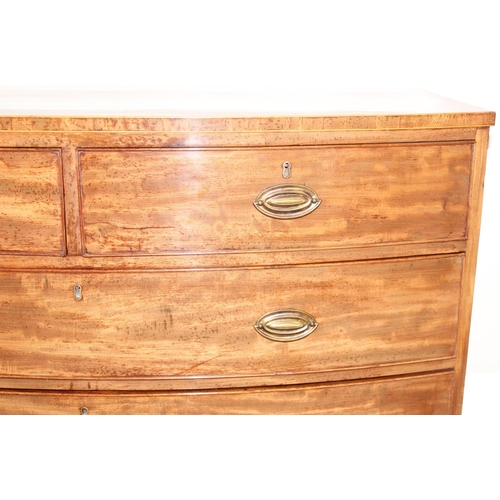 135 - A Victorian mahogany 2 over 3 bow fronted chest of drawers with brass Hepplewhite style handles and ... 