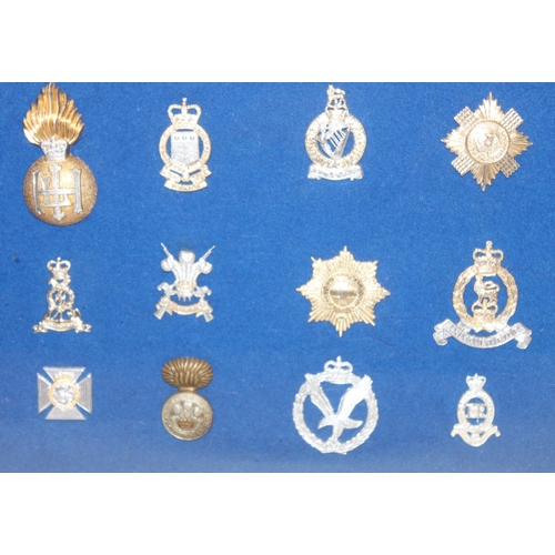 1444 - A set of vintage military cap badges presented in frame on blue felt background, mainly Staybrite ex... 