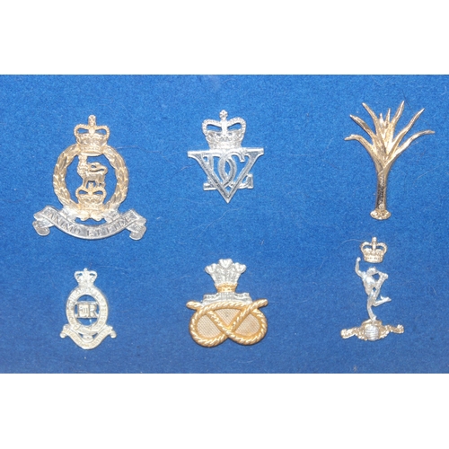 1444 - A set of vintage military cap badges presented in frame on blue felt background, mainly Staybrite ex... 