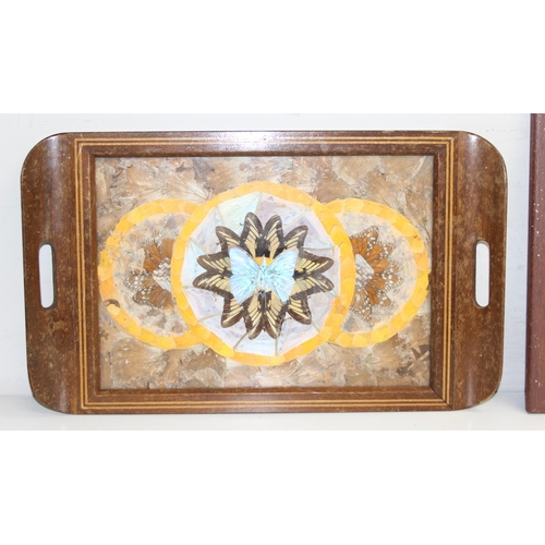 375 - 2 butterfly/moth wing displays, one set in a glazed frame, the other as a glazed wooden serving tray... 