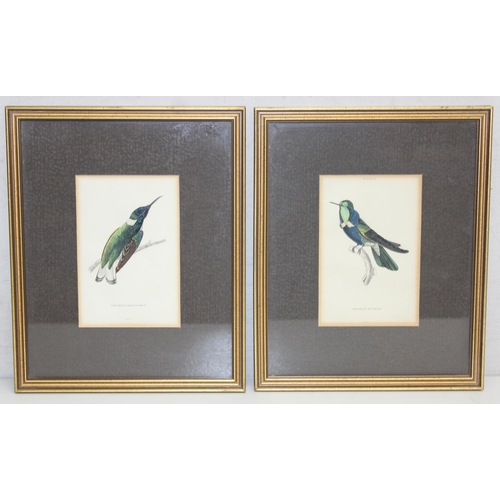 365 - William Lizars (1788-1859), a set of 8 antique hand coloured prints or engravings of exotic birds, l... 