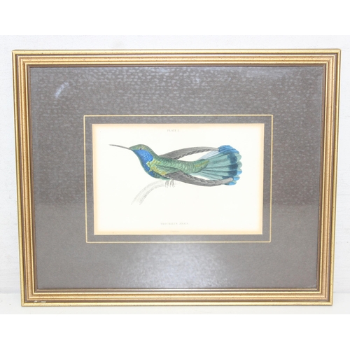 365 - William Lizars (1788-1859), a set of 8 antique hand coloured prints or engravings of exotic birds, l... 