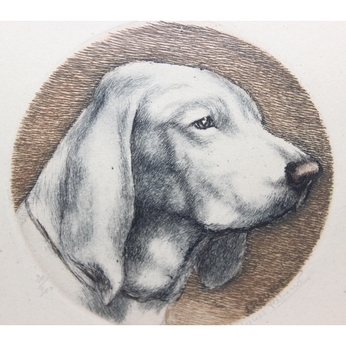 380 - Jaques Rebour (XX) limited edition 20/300 coloured print of a dog, signed in pencil by the artist, a... 