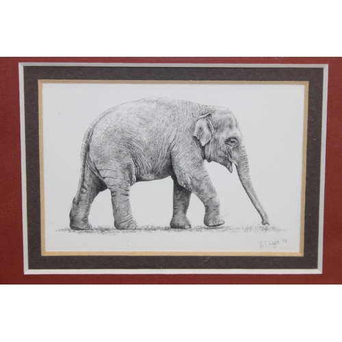 392 - Qty of elephant themed pictures and prints, largest approx 36cm x 36cm (6)