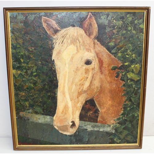 407 - Vintage impasto oil on board of a horse's head, signed bottom right Damion?, approx 65cm x 60cm