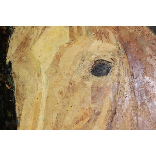 407 - Vintage impasto oil on board of a horse's head, signed bottom right Damion?, approx 65cm x 60cm