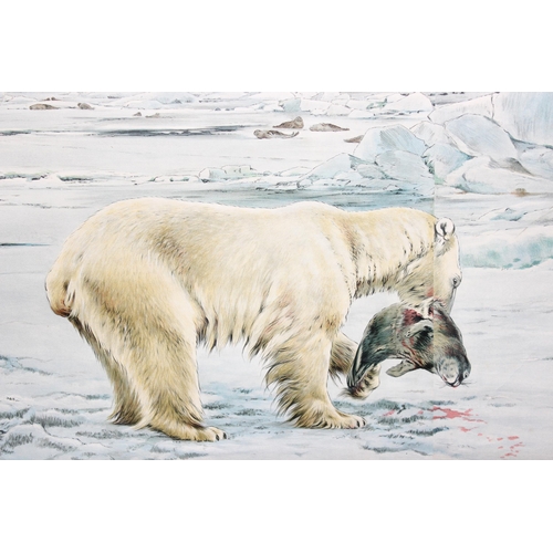 401 - Large mid-century German wall-hanging educational poster depicting polar bears hunting by Richard Fr... 