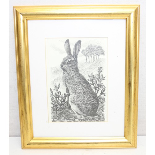 410 - Assorted antique and later plates or prints of birds/monkeys and a print of a hare, largest approx 4... 