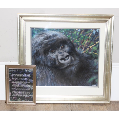 463 - Joel Kirk (British, 1948-) an original pastel of a Gorilla, signed lower right, supplied with artist... 