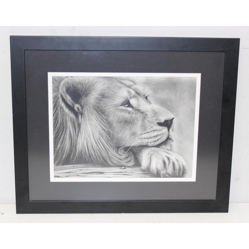 464 - Gareth Lloyd (British, XX-XXI), an original pencil artwork of a lion, signed lower centre, approx 57... 