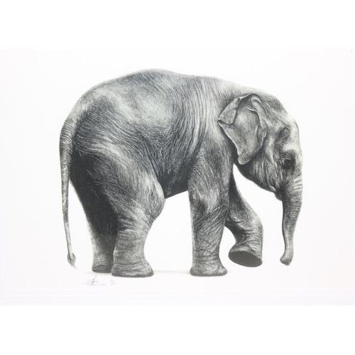 465 - Gareth Lloyd (British, XX-XXI), 3 assorted limited edition prints to inc elephant, giraffe and rhino... 