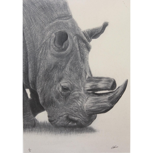 465 - Gareth Lloyd (British, XX-XXI), 3 assorted limited edition prints to inc elephant, giraffe and rhino... 