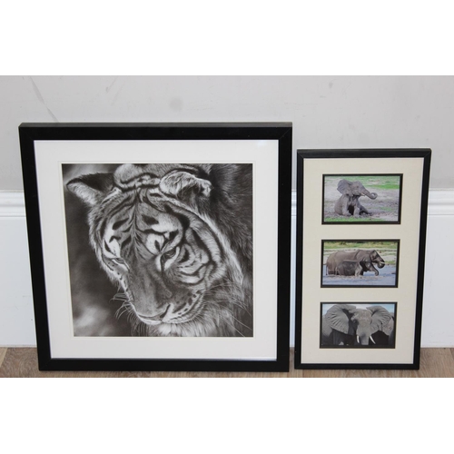 478 - Decorative print of a tiger by Peter Williams and a selection of framed elephant photographs, larges... 