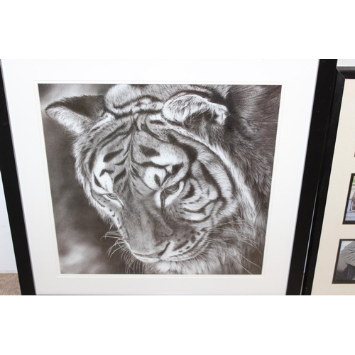 478 - Decorative print of a tiger by Peter Williams and a selection of framed elephant photographs, larges... 