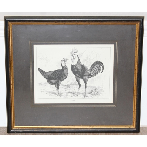 405 - 5 assorted antique and later prints, 2 of Chickens, 2 of fish by Hamilton Smith with hand colouring ... 