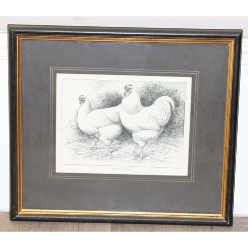 405 - 5 assorted antique and later prints, 2 of Chickens, 2 of fish by Hamilton Smith with hand colouring ... 