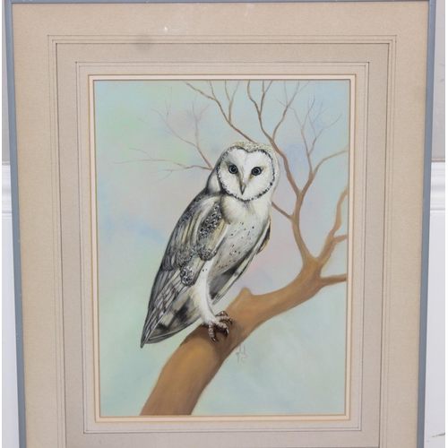 409 - 2 modern superb quality watercolour of native British birds, one of a Barn Owl the other a Peregrine... 