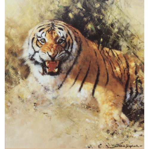 404A - David Shepherd (British, 1931-2017) pencil signed print of a Tiger, the original entitled 