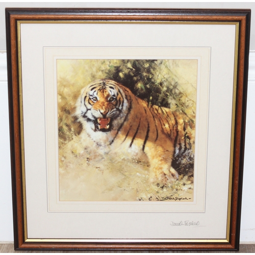 404A - David Shepherd (British, 1931-2017) pencil signed print of a Tiger, the original entitled 