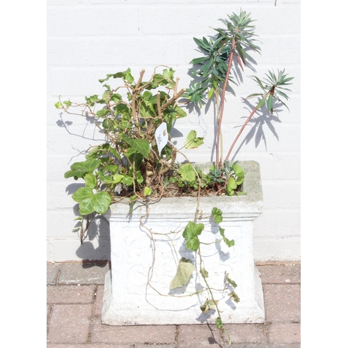 305 - A weathered garden planter with plants, the planter alone 37cm x 25cm x 30cm