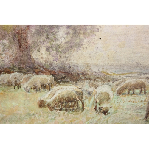 374 - John Pedder R.I. (British, 1850-1929)
watercolour on paper mounted on board depicting sheep grazing,... 