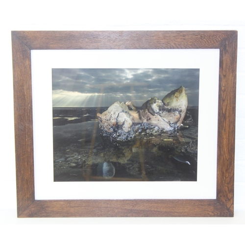 426 - Fine art giclée print 