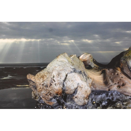 426 - Fine art giclée print 