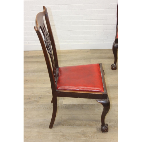 104 - Set of four antique Chippendale style chairs with red leather upholstery and decorative carved backs... 