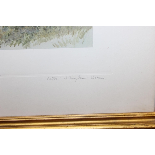 422 - Maud Alice Earl (1863–1943), a pair of pencil signed photogravure prints depicting sporting dogs, ha... 