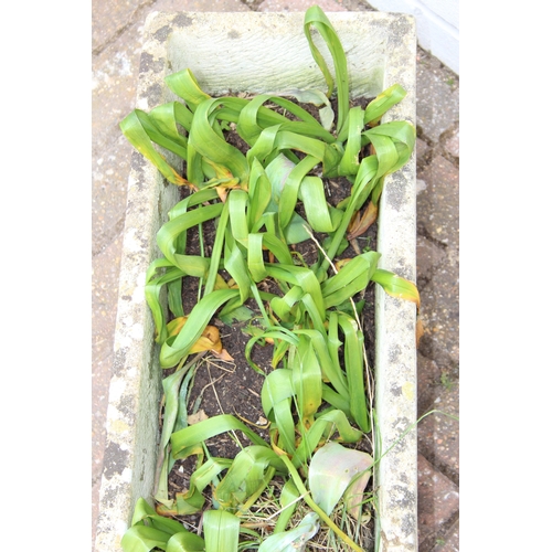 308 - Decorative trough planter, unknown contents, 73cm x 27cm x 26cm