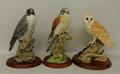 A Border Fine Arts model of an owl, titled 'On The Lookout, BO276', 26cm high, and two Russell Willi... 