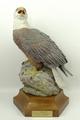 An Aynsley porcelain figure of a Bald Eagle, limited edition no 284/ 750, commemorating the Bi-Cente... 