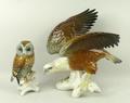 A Karl Ens porcelain figure of a Bald Eagle modelled perched on a bough, 24cm high, and a further fi... 