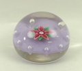 A Paul Ysart, Harland, glass paperweight set with a single flower against a lilac ground, 'H' cane, ... 