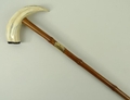 A bamboo walking cane, early 20th century, with a boar's tooth handle, brass ferrule, 87cm long.