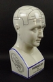 A modern ceramic bust of Fowler's phrenological head, after the Victorian model, 14 by 14 by 30cm.