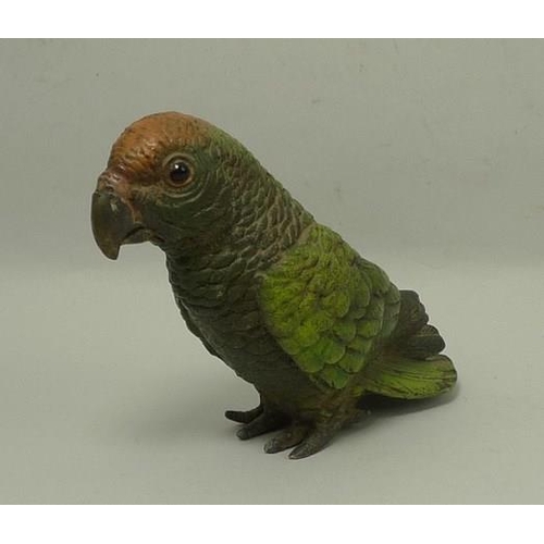 696 - A Austrian cold painted bronze figure, mid 20th century, modelled as a parakeet, in the style of Ber... 